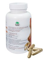 Концентрат ЖЕЛУДОК И КИШЕЧНИК с экстрактом фенхеля +11 витаминов и пребиотиком, 60 капсул по 500 мг
