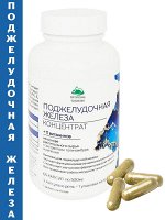 Концентрат ПОДЖЕЛУДОЧНАЯ ЖЕЛЕЗА с экстрактом топинамбура и репешка + 11 витаминов, 60 капсул