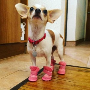 Ботиночки тёплые, розовый