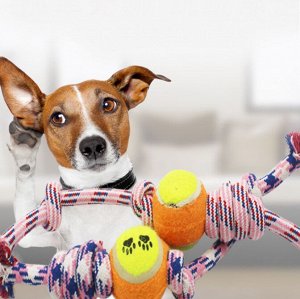 Игрушка Игрушка для собак "Веревка с 2-мя узлами и мячом"
Собаки - подвижные животные, им необходимо побегать на прогулке для здоровья и настроения. А поиграть с хозяином - прекрасное развлечение, кот