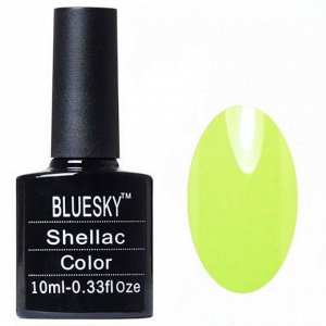 Shellac bluesky Y №009