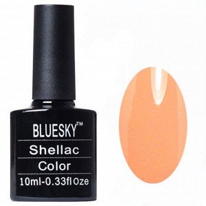 Shellac bluesky Y №011