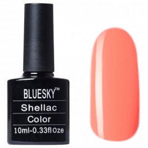 Shellac bluesky "A" №097