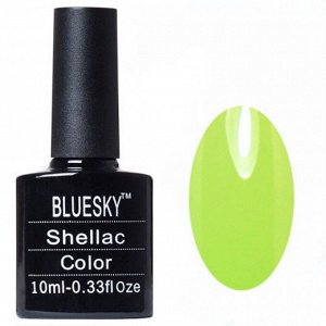Shellac bluesky Y №012