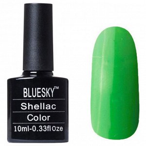 Shellac bluesky №579