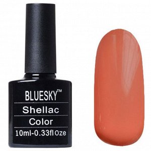 Shellac bluesky №592