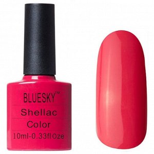 Shellac bluesky №505