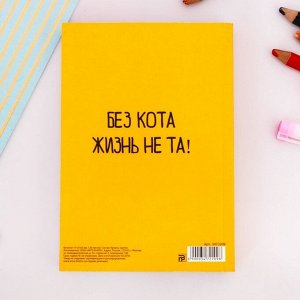 Блокнот творческого человека "Один день из жизни котиков", мягкая обложка, 11,5 х 16,5 см, 120 листов