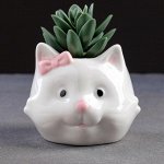 Кашпо керамическое &quot;Кошка&quot; 10*8см