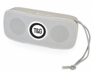 Колонка T&G 515 (серый)