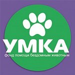 Благотворительная! фонд умка