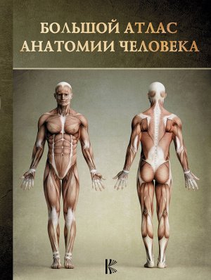 . Большой атлас анатомии человека