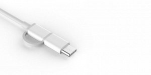 Кабель 2 в 1 USB Type-C/Micro Xiaomi Zmi 100 см AL501