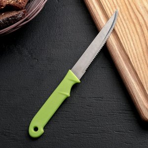 Нож кухонный «Акли», зубчатое лезвие 10,5 см, цвет МИКС 2331131