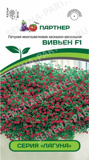 Длори Сегодня мировой ассортимент обогащает петуния серии «ЛАГУНА» –новый тип мелкоцветковой петунии на цветочном рынке совершенно в новом качестве! Габитус растения и диаметр цветка напоминает калибр