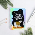 Ежедневник голография «Зима подарит чудеса», 40 л 4934826
