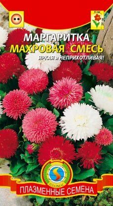 Цветы Маргаритка махровая Смесь ЦВ/П (ПЛАЗМА) двулетнее 20см