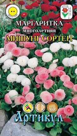 Цветы Маргаритка Мишунг сортен ЦВ/П (АРТИКУЛ) двухленее 10-12см