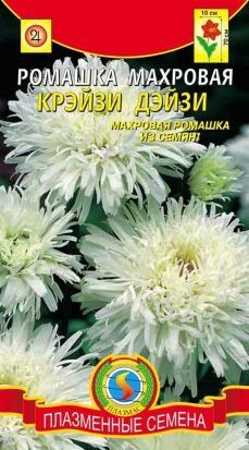 Цветы Ромашка Крейзи Дейзи (махровая) ЦВ/П (ПЛАЗМА)