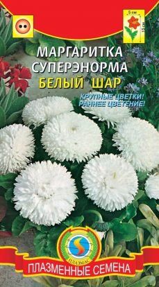 Цветы Маргаритка СуперЭнорма Белый шар ЦВ/П (ПЛАЗМА) двулетнее 15см