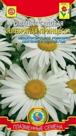 Цветы Ромашка Серебряная принцесса ЦВ/П (ПЛАЗМА) многолетник до 30см