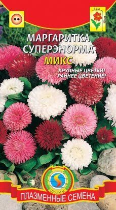 Цветы Маргаритка СуперЭнорма МИКС ЦВ/П (ПЛАЗМА) двулетнее 15см