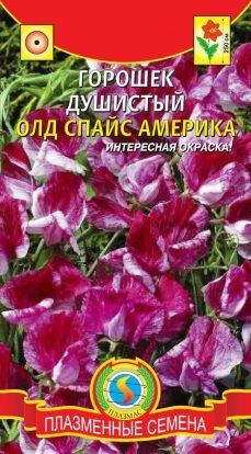 Цветы Горошек Душистый Олд Спайс Америка ЦВ/П (ПЛАЗМА) однолетнее до 2,5м