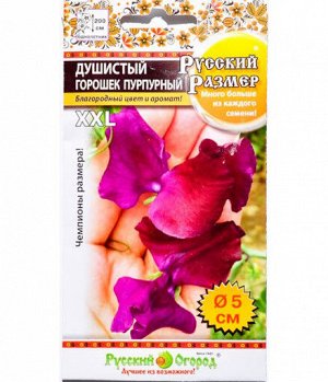 Цветы Горошек Душистый Русский размер Пурпурный ЦВ/П (НК) однолетнее до 3м