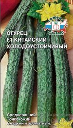 Огурец Китайский Холодоустойчивый F1 ЦВ/П (СЕДЕК) 0,2гр среднеранний