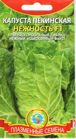 Капуста пекинская Нежность F1 ЦВ/П (ПЛАЗМА) 0,2гр ультраскороспелый