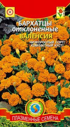 Цветы Бархатцы Валенсия ЦВ/П (ПЛАЗМА) отклоненные 30 см
