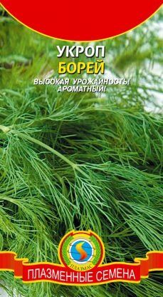 Укроп Борей ЦВ/П (ПЛАЗМА) позднеспелый кустовой