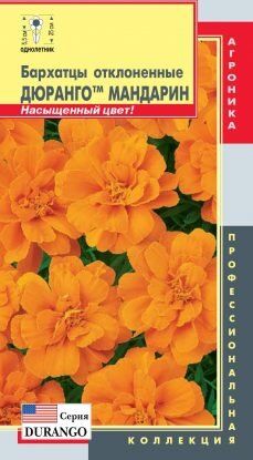 Цветы Бархатцы Дюранго Мандарин ЦВ/П (ПЛАЗМА) отклоненные 25-30см