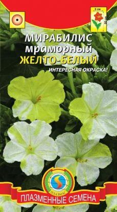 Цветы Мирабилис Мраморный Жёлто-Белый ЦВ/П (ПЛАЗМА) однолетнее до 80см