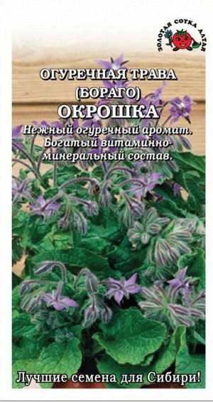 Пряность Огуречная трава Окрошка ЦВ/П (СОТКА) 0,5гр бораго однолетник