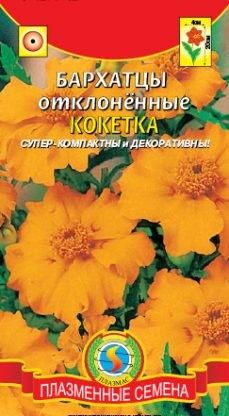 Цветы Бархатцы Кокетка ЦВ/П (ПЛАЗМА) отклоненные 20 см