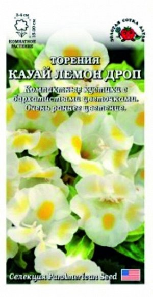 Цветы Торения Кауай Лемон Дроп ЦВ/П (СОТКА) 5шт комнатное 15-20см