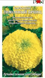 Цветы Бархатцы Лимонный принц ЦВ/П (СОТКА) 0,2гр однолетник прямостоячие 70см