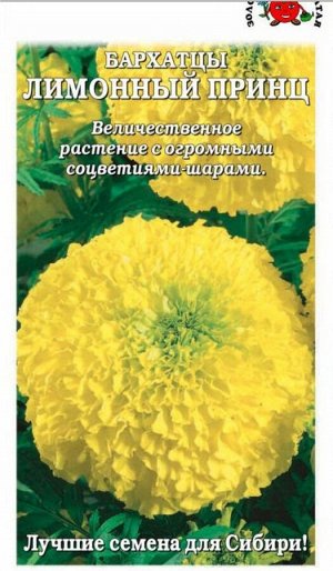 Цветы Бархатцы Лимонный принц ЦВ/П (Сотка) 0,2гр однолетник прямостоячие 70см