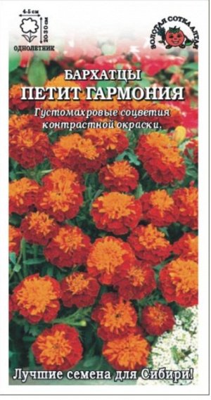 Цветы Бархатцы Петит Гармония ЦВ/П (Сотка) отклоненные 20-30см