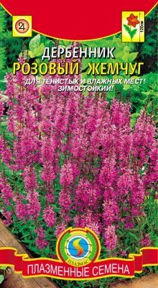 Цветы Дербенник Розовый жемчуг ЦВ/П (ПЛАЗМА) многолетнее до 1,2м