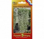 Цветы Дихондра Серебристый Водопад ЦВ/П (НК) однолетнее 1,5м