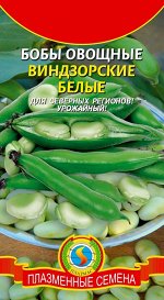 Бобы Виндзорские белые ЦВ/П (ПЛАЗМА) 10гр среднепоздний