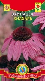 Пряность Эхинацея Знахарь ЦВ/П (ПЛАЗМА) многолетник
