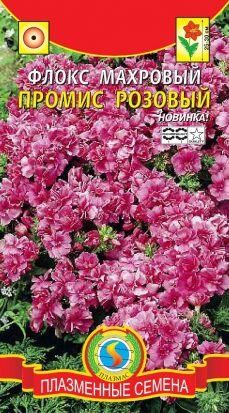 Цветы Флокс махров Промис Розовый ЦВ/П (ПЛАЗМА)