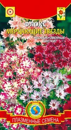 Цветы Флокс Мерцающие звёзды смесь ЦВ/П (ПЛАЗМА)