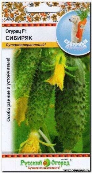 Огурец Сибиряк F1 (Северные Овощи) ЦВ/П (НК) раннеспелый партенокарпический