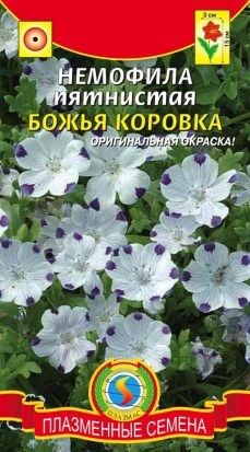 Цветы Немофила пятнистая Божбя коровка ЦВ/П (ПЛАЗМА) однолетнее 15см