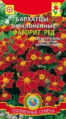 Цветы Бархатцы Фаворит Ред ЦВ/П (ПЛАЗМА) отклоненные 30см