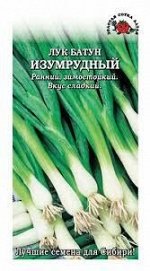 ЛУК Батун Изумрудный ЦВ/П (СОТКА) многолетний раннеспелый зимостойкий